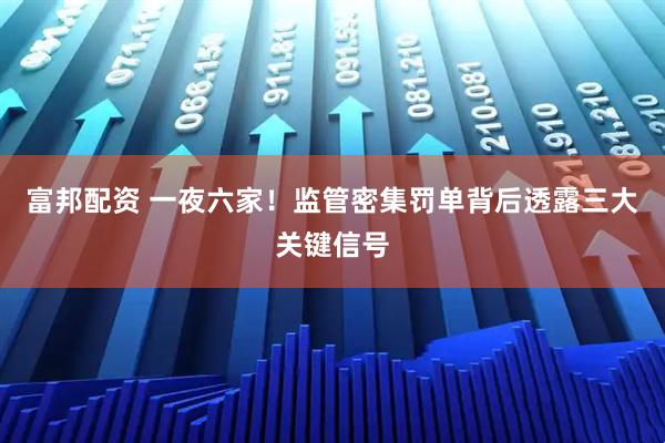 富邦配资 一夜六家!监管密集罚单背后透露三大关键信号